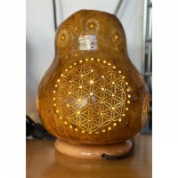 Su Kabağı Lambası - handmade